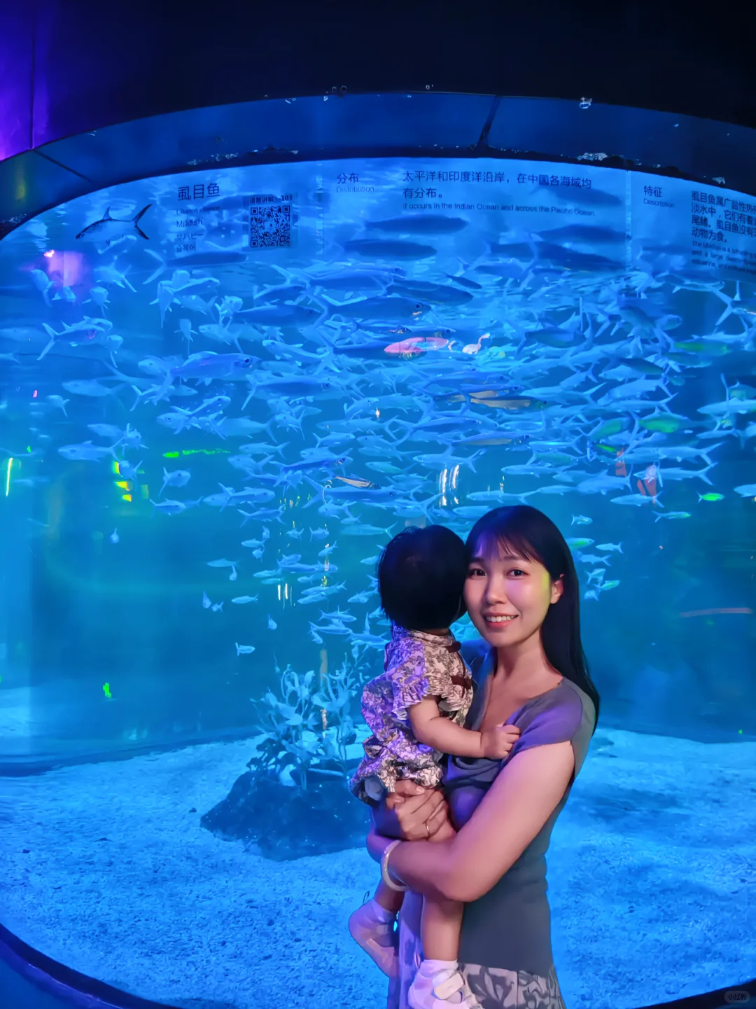 不允许你不知道❗❗广州遛娃天花板！