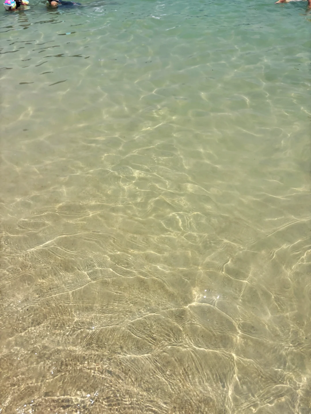 不！要！去！桔钓沙！