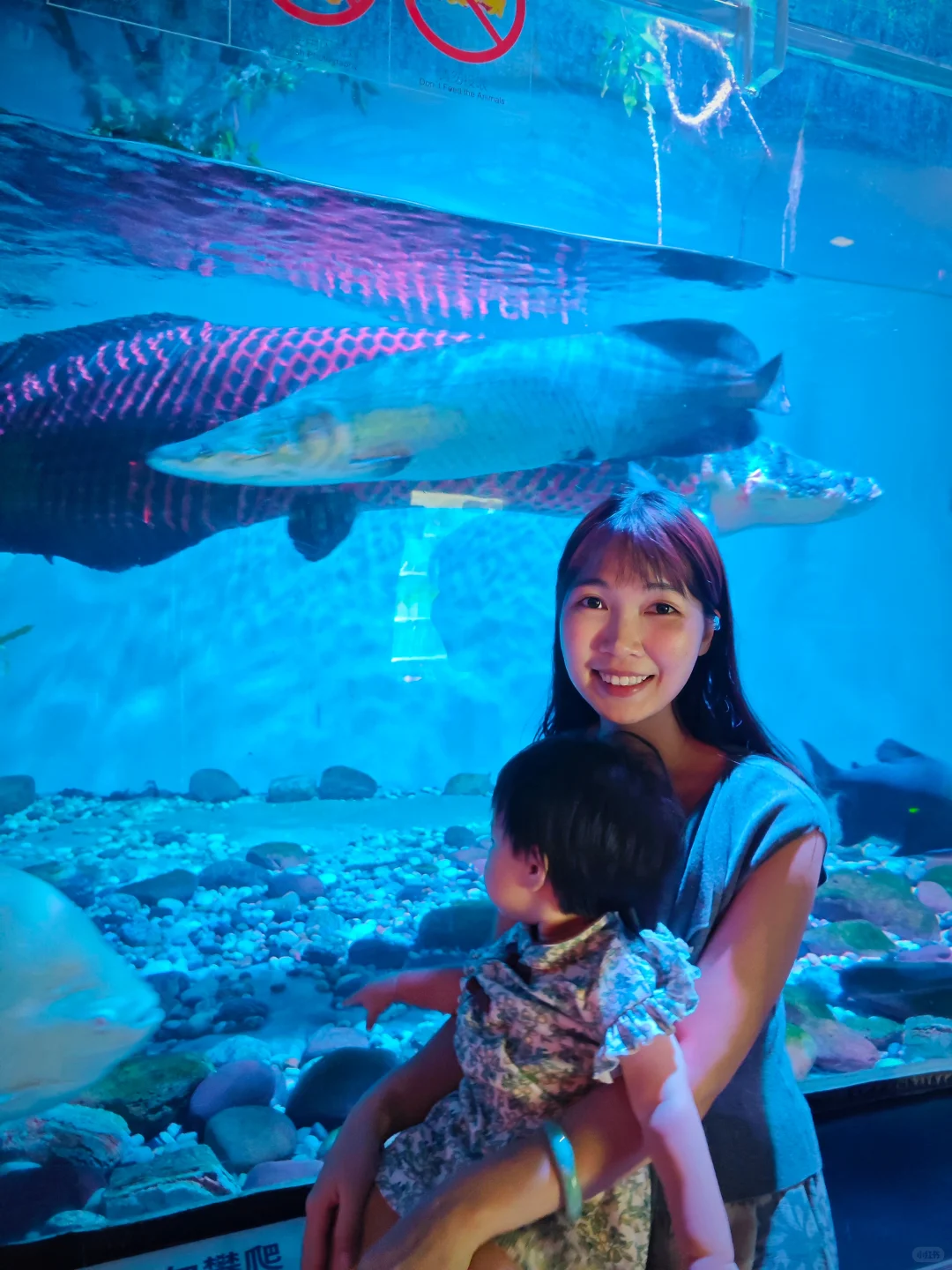 不允许你不知道❗❗广州遛娃天花板！