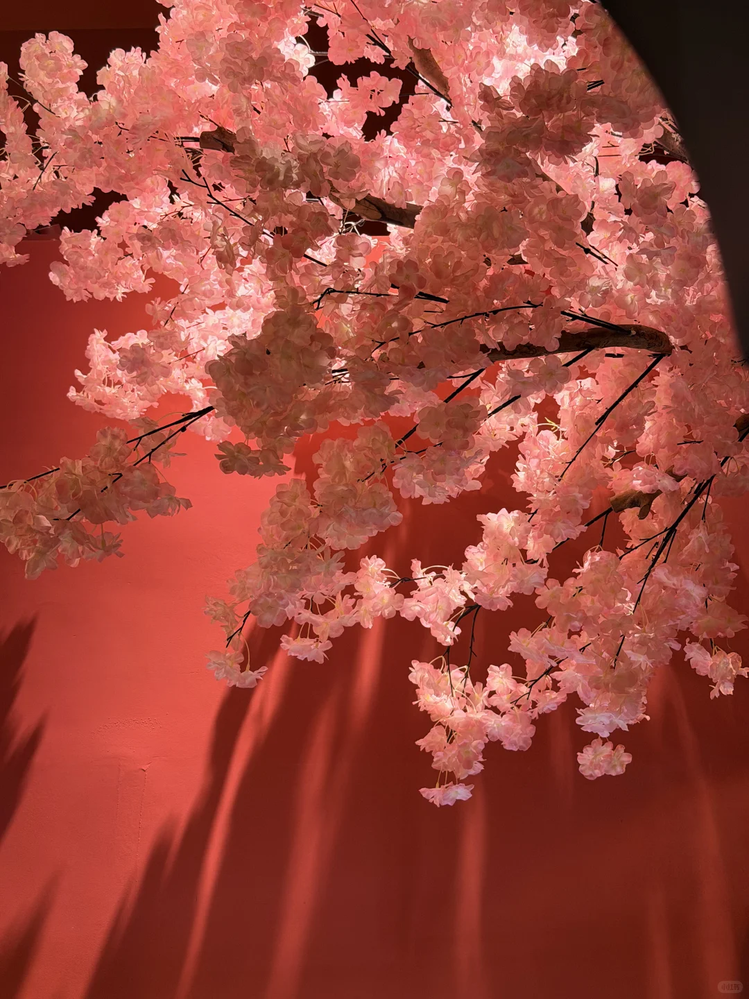 救命！对外开放啦！还免费…