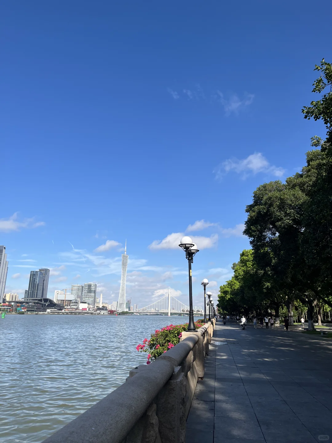 晴天白云，广州，临江大道