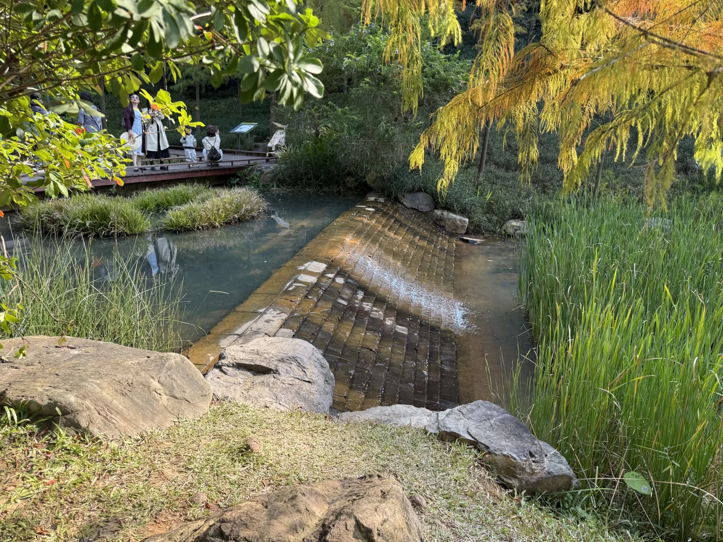 我推荐每个在广州的朋友立刻马上去