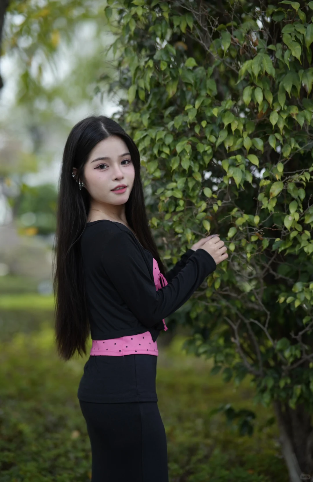 深圳/沙井新桥市民广场