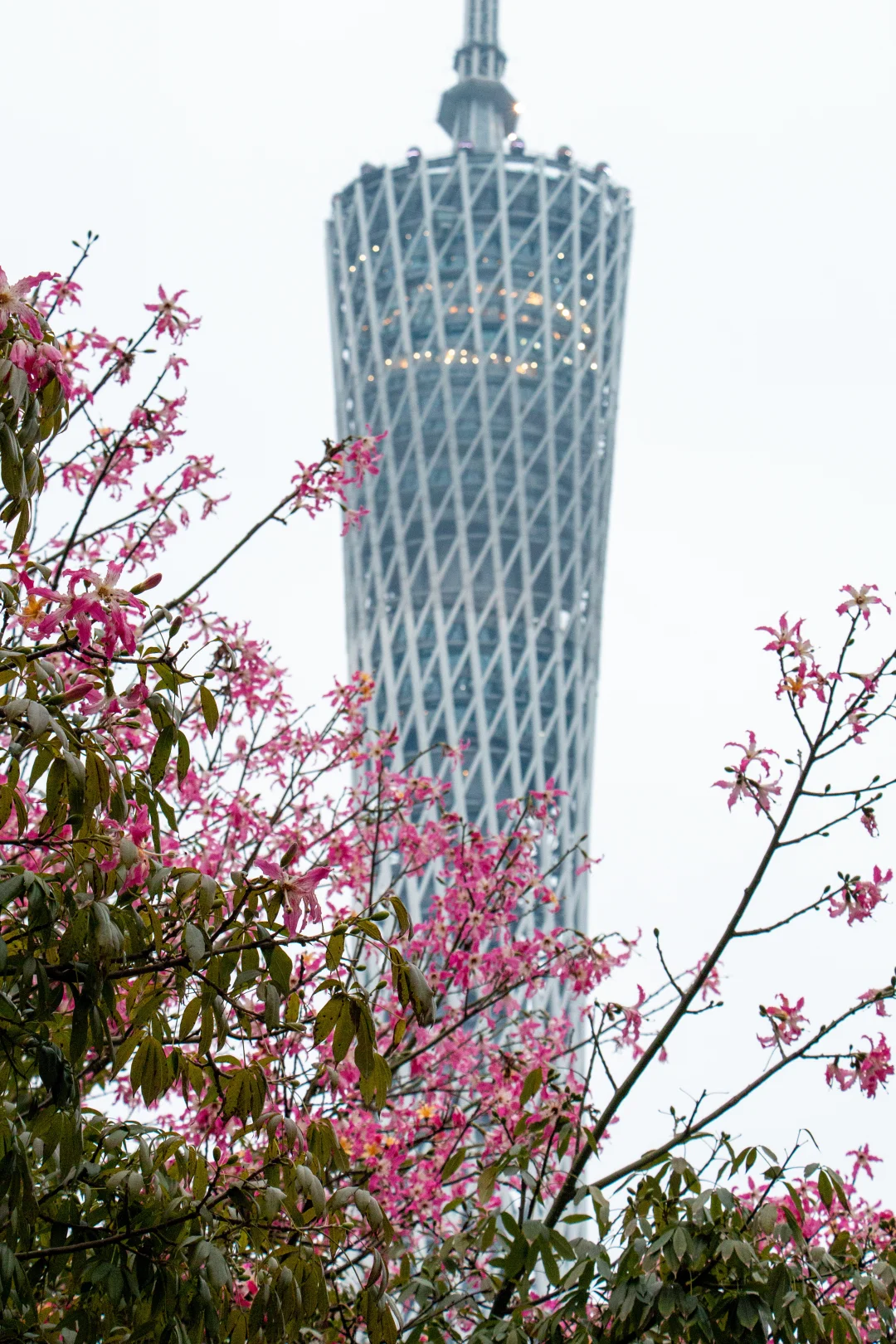 广州两日游路线分享