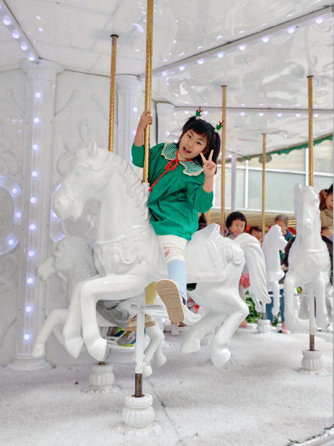 📢来啦来啦❗广州圣诞🎄免费看❄️撸宠