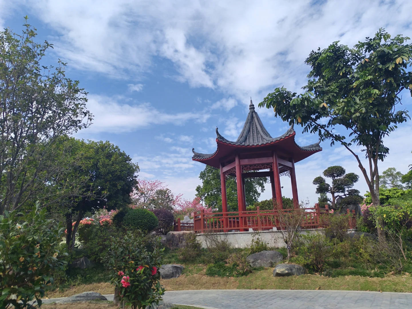 东莞植物园游玩攻略｜含网红爱心树打卡指南