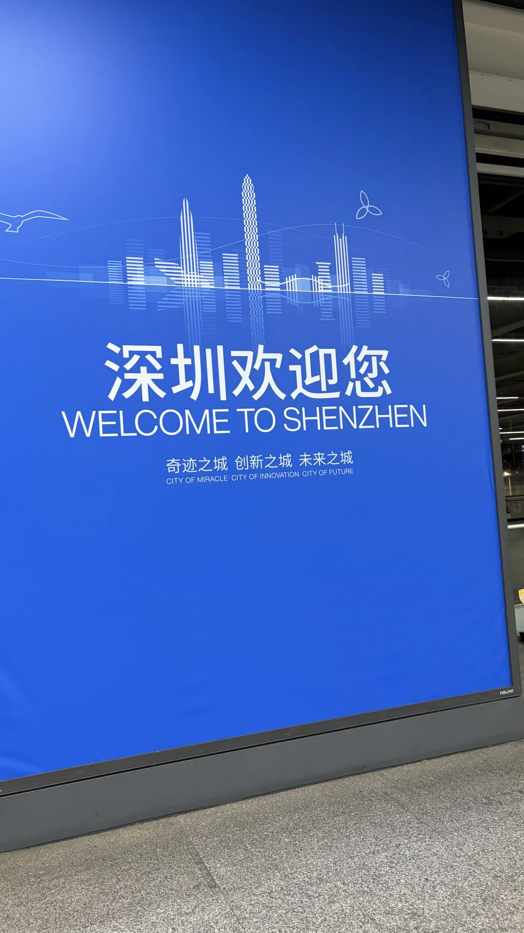 原来深圳是真的欢迎你，又来啦！