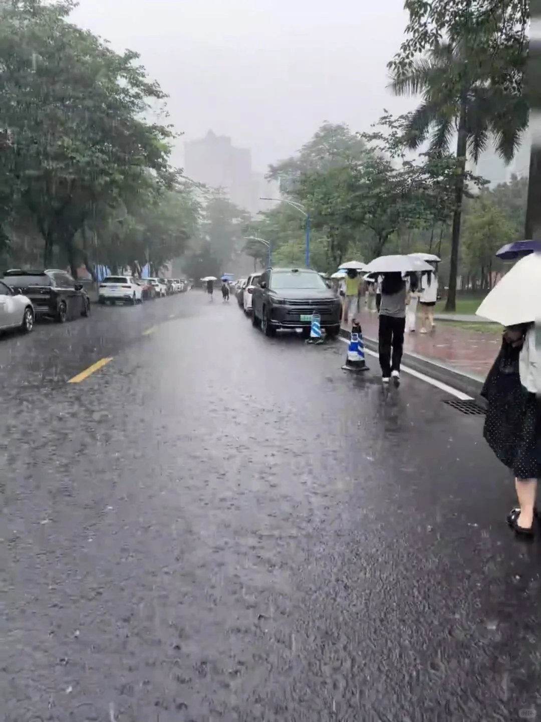 8.3📍广州最新现状😥酒店集体暴跌52%