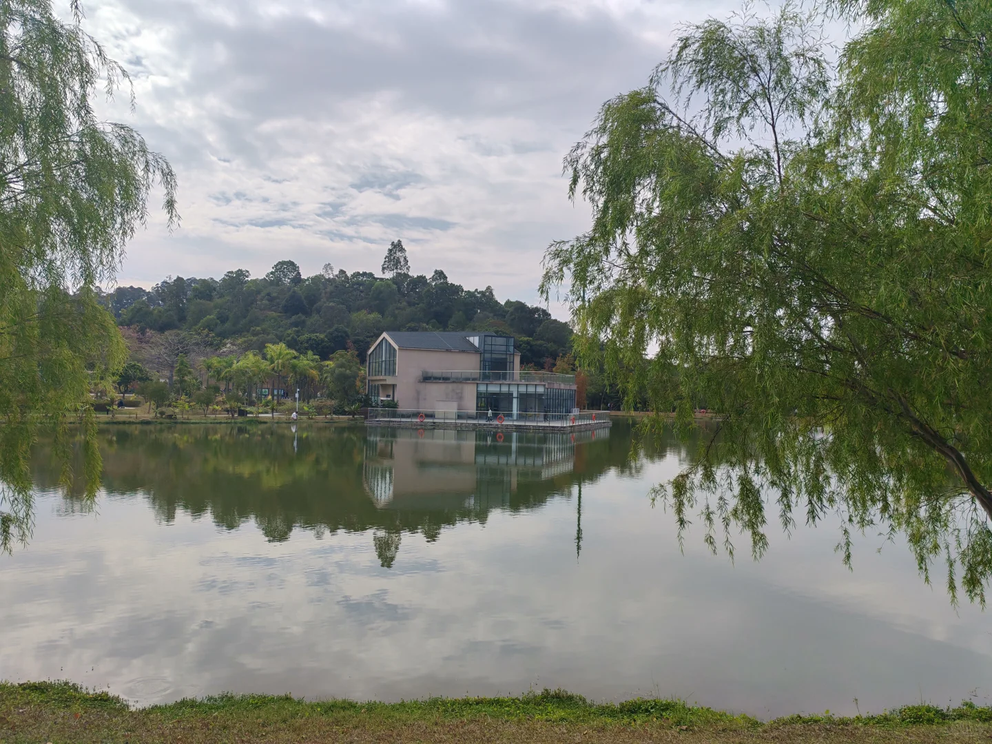 东莞植物园游玩攻略｜含网红爱心树打卡指南