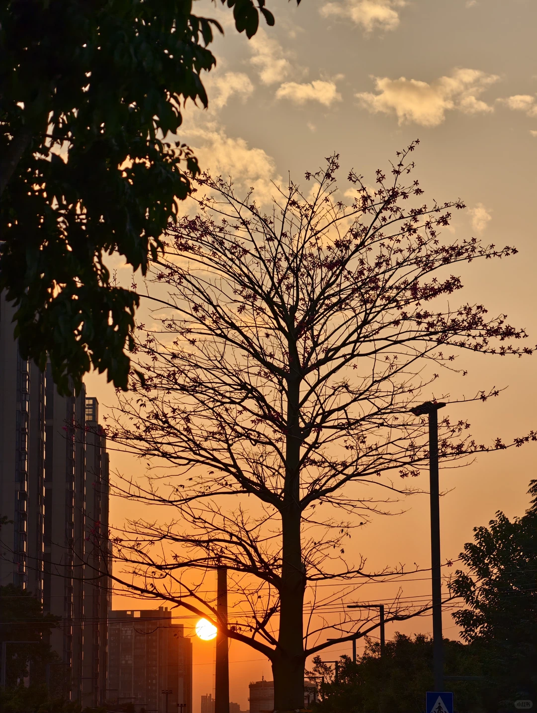 广州新地标｜船台1914拥抱无界珠江