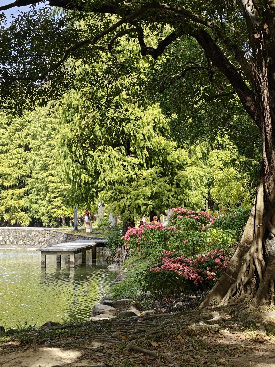 好喜欢广州这两个月的天气啊，真的太舒服啦