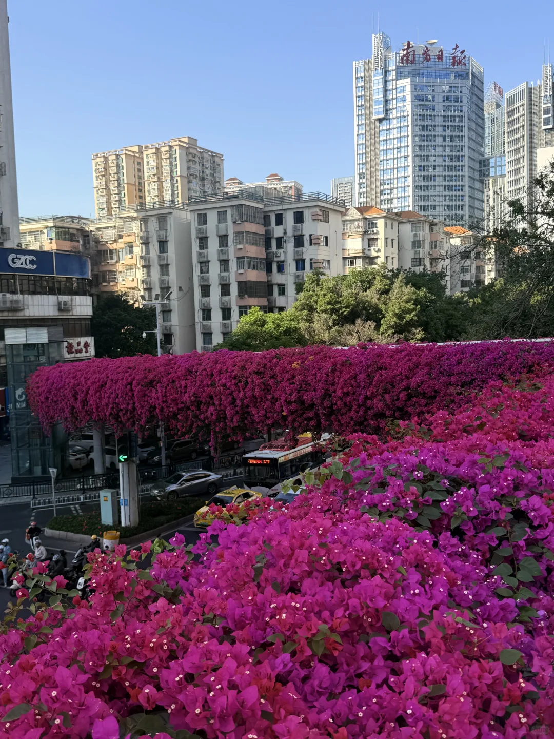 广州天桥藏着粉色惊喜！！！