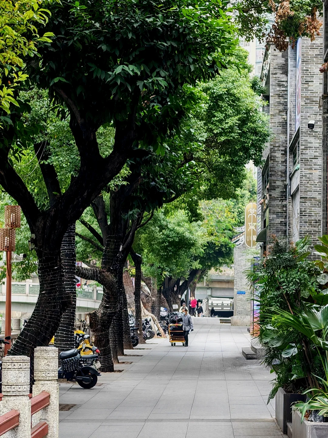 在广州最贵的地方晒太阳，是什么体验？