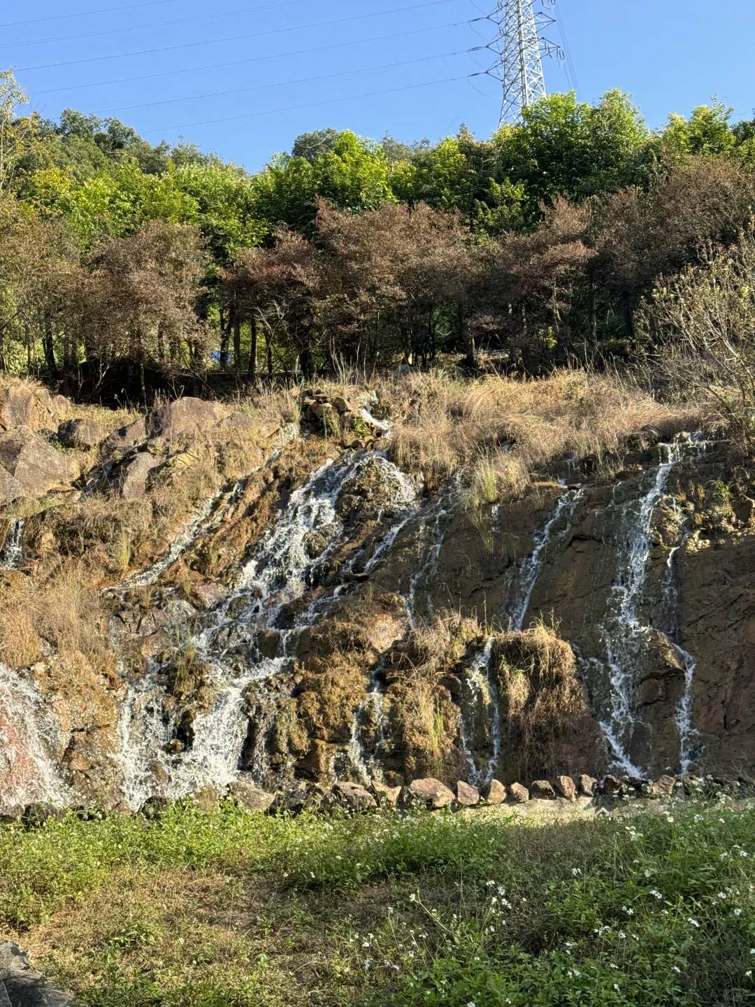 东莞｜愿意坐一天的森林瀑布咖啡屋🌳