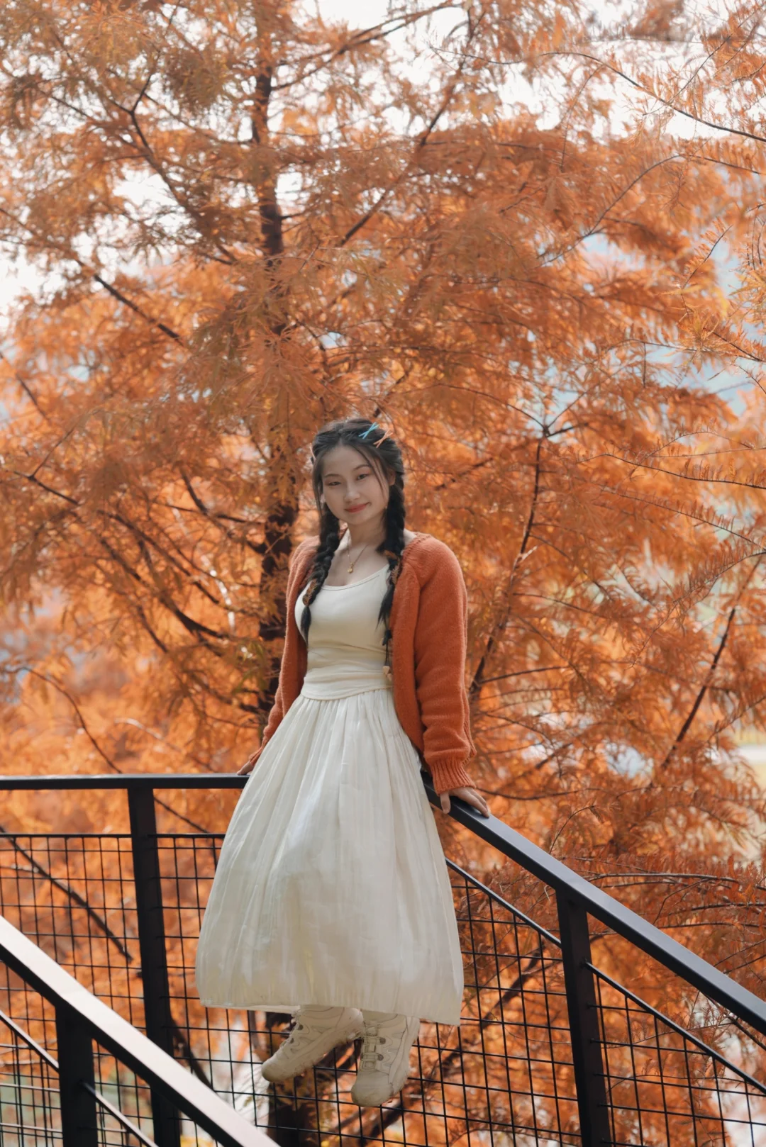 写意三河 落羽杉红了