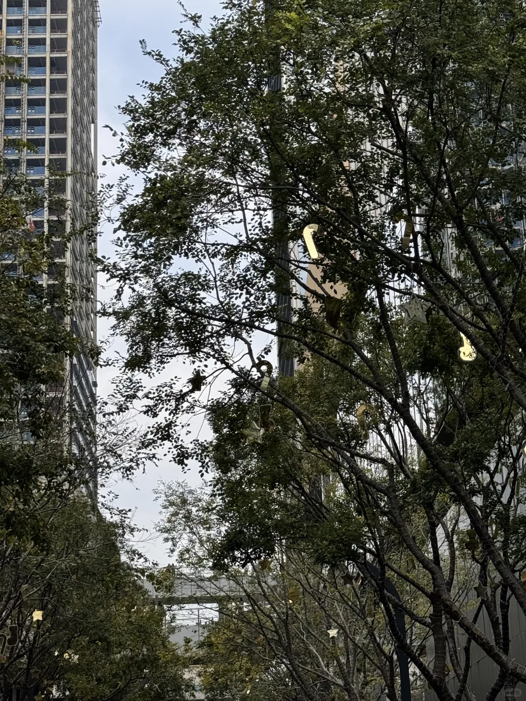 不懂就问……大家都在万象天地买些啥？