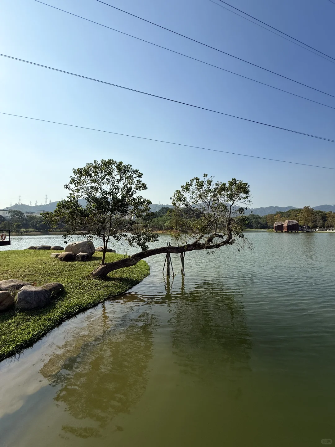 深圳的漂亮公园-1