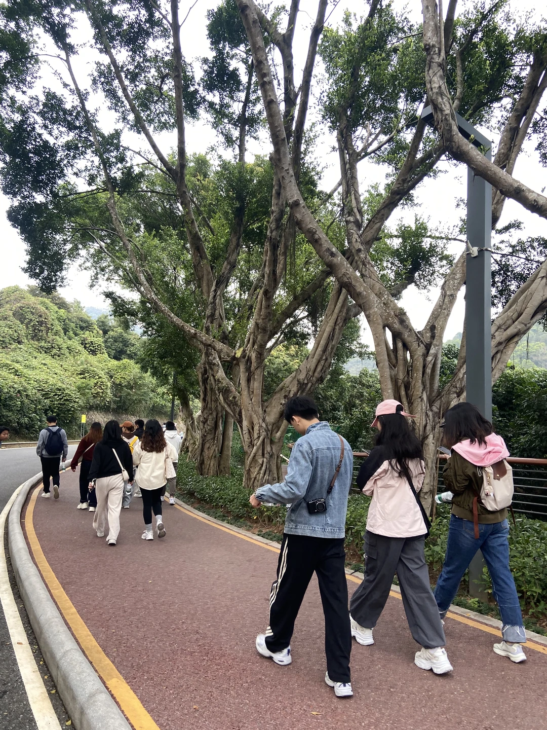 深圳活动｜12.6周六淘金山绿道徒步，已21人