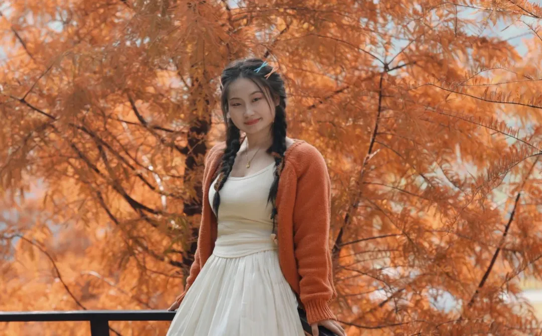 写意三河 落羽杉红了