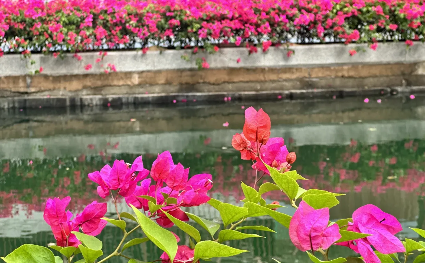 深圳穿衣指南12月8日