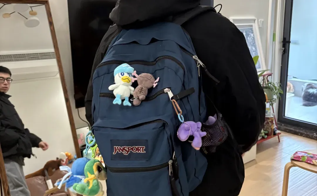 带多少宝可梦去深圳？