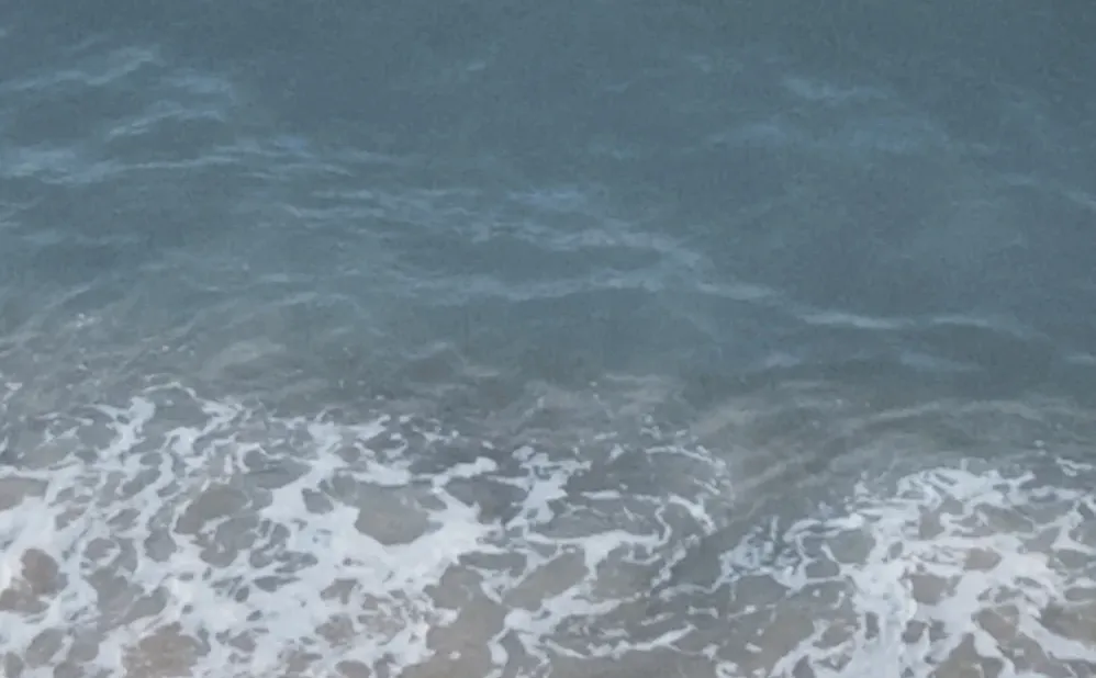 深圳 | 真好啊 有海的城市