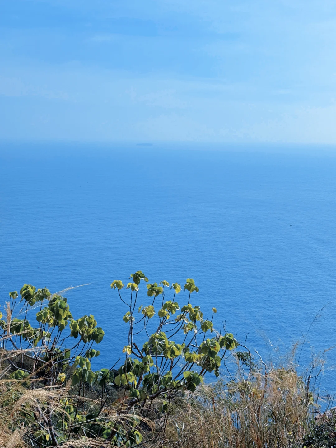 12月的深圳天文台你美！！live实拍（攻略机位