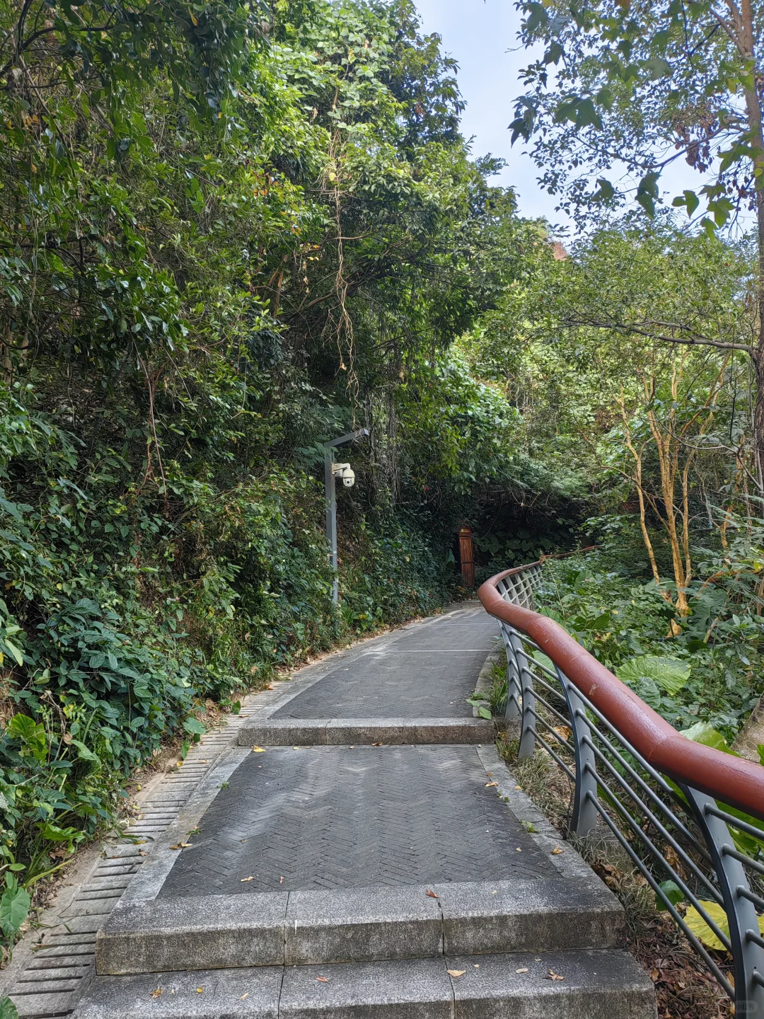 深圳活动｜12.6周六淘金山绿道徒步，已21人