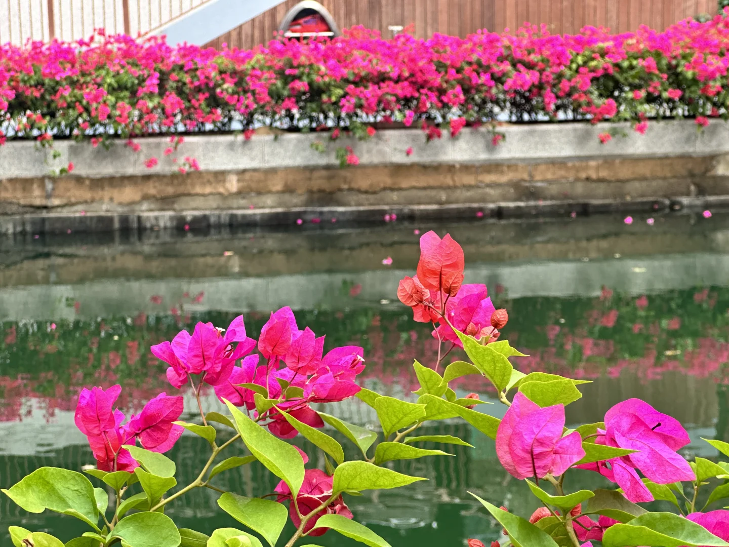 深圳穿衣指南12月8日