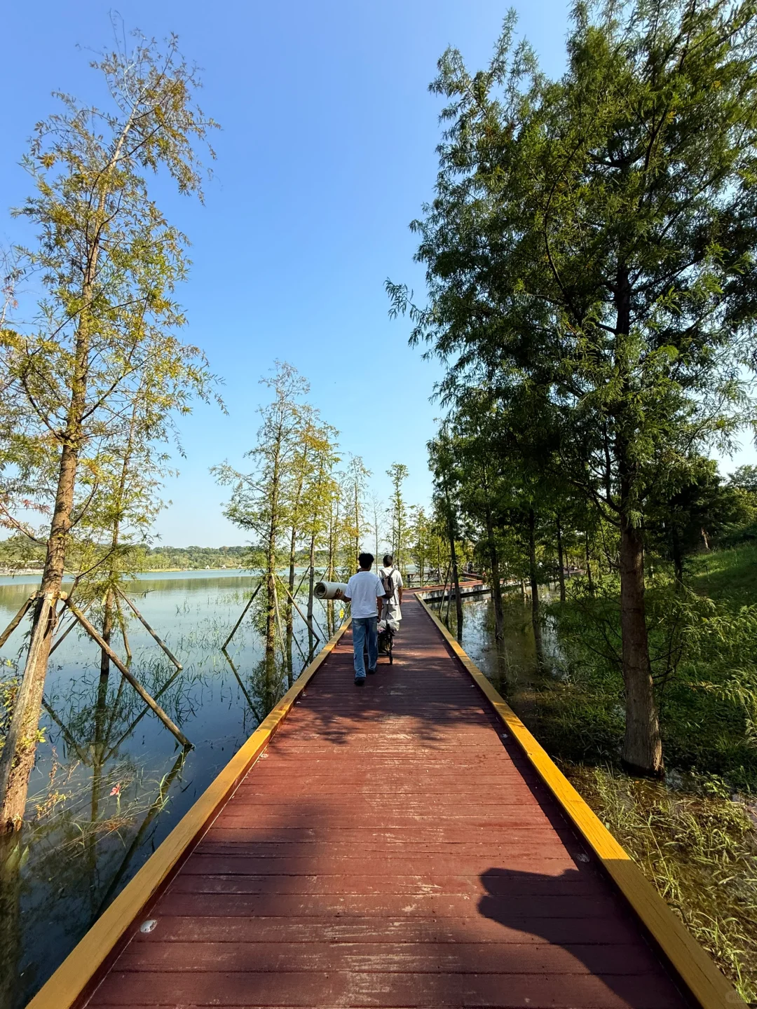 深圳的漂亮公园-1