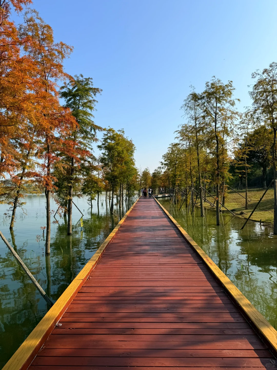 深圳的漂亮公园-1