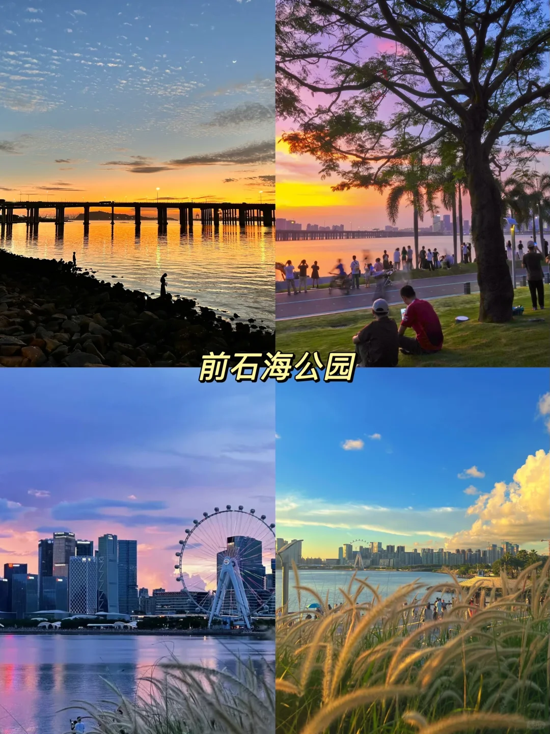 太美啦‼️来深圳一定要去这九大景点打卡