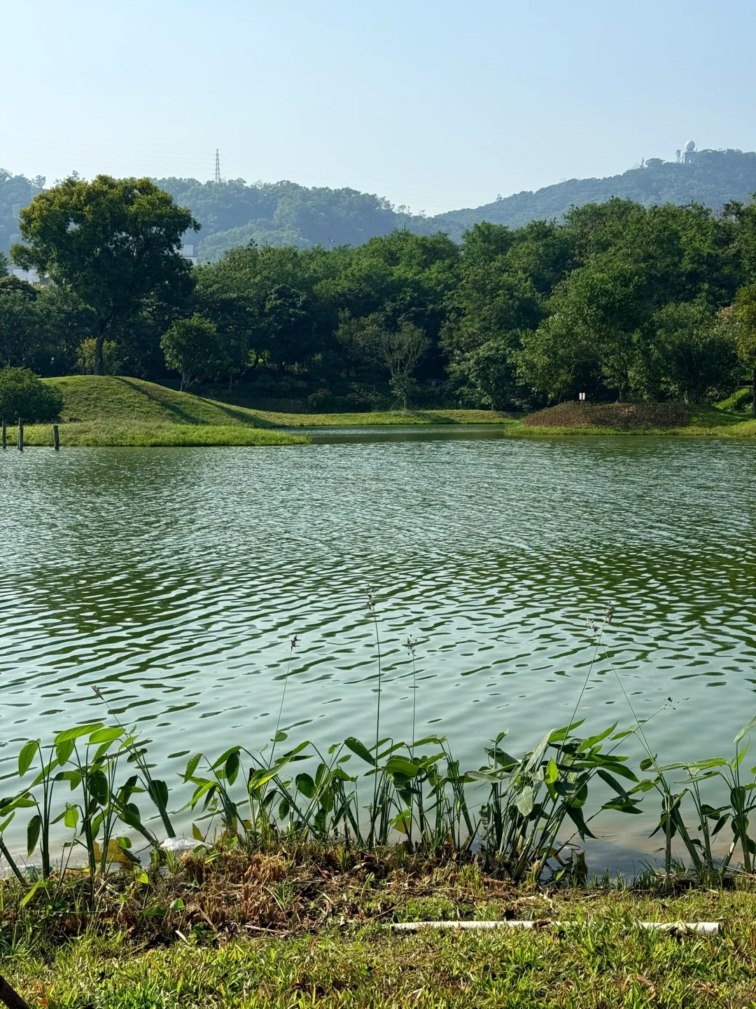 深圳的漂亮公园-1