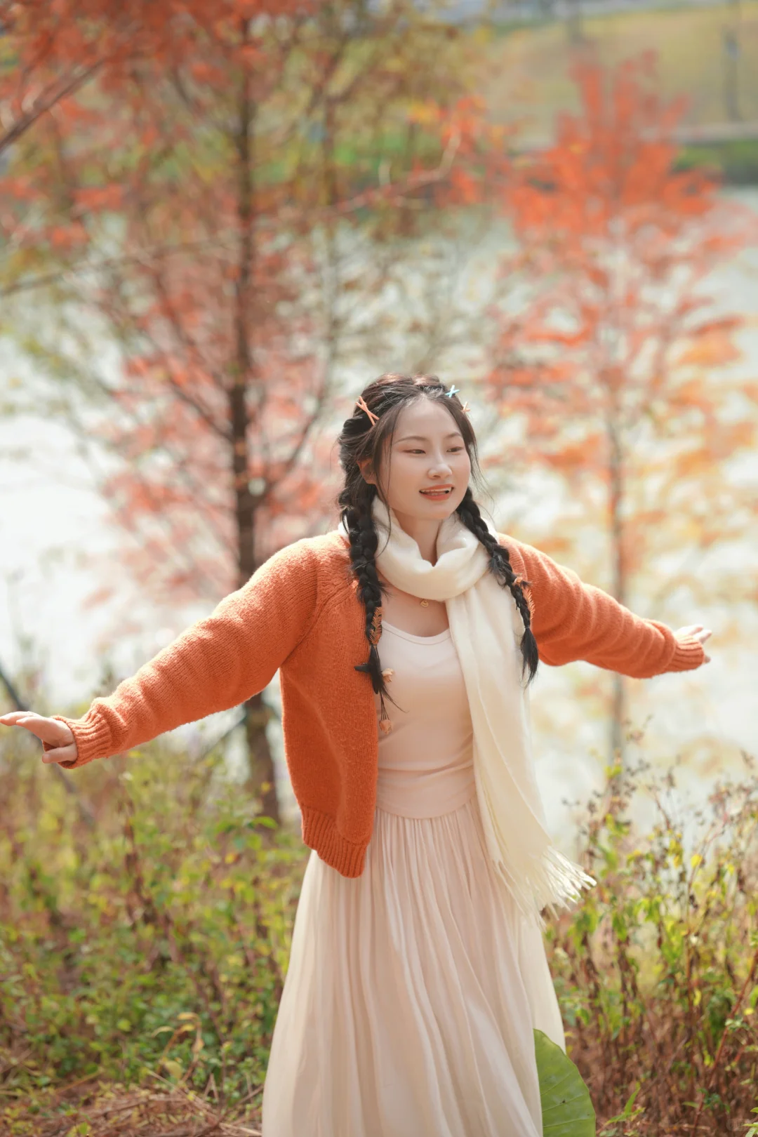 写意三河 落羽杉红了