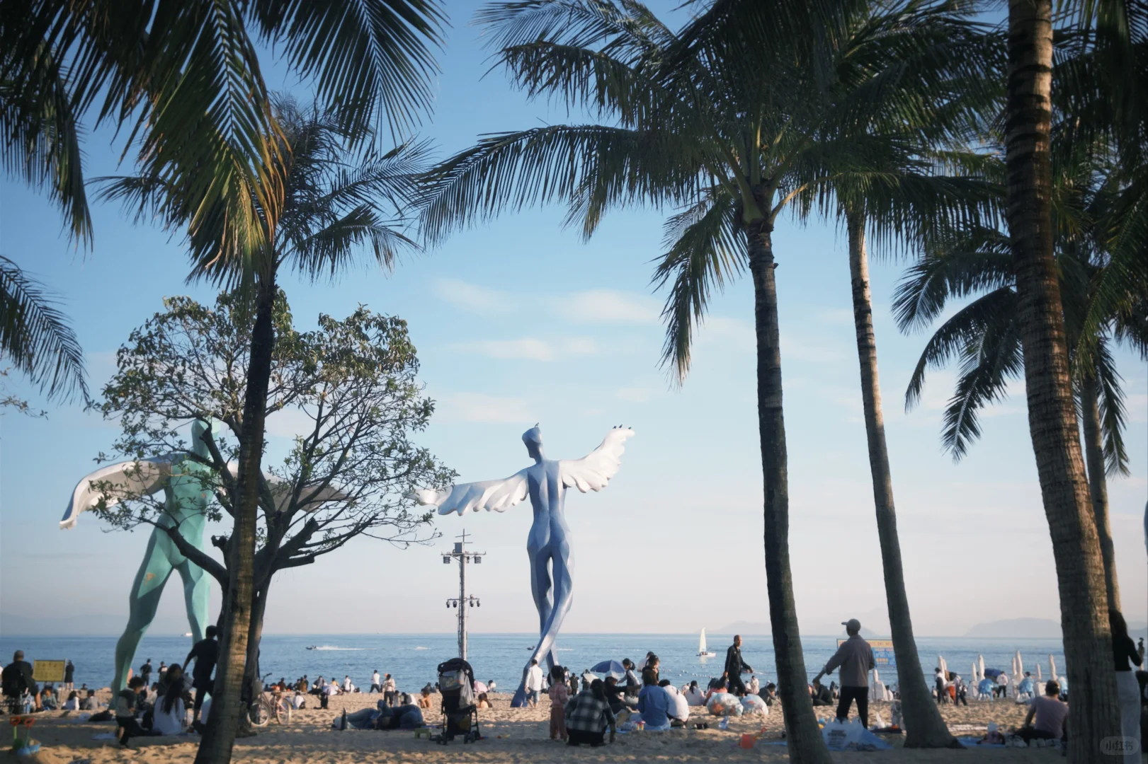 深圳 | 真好啊 有海的城市