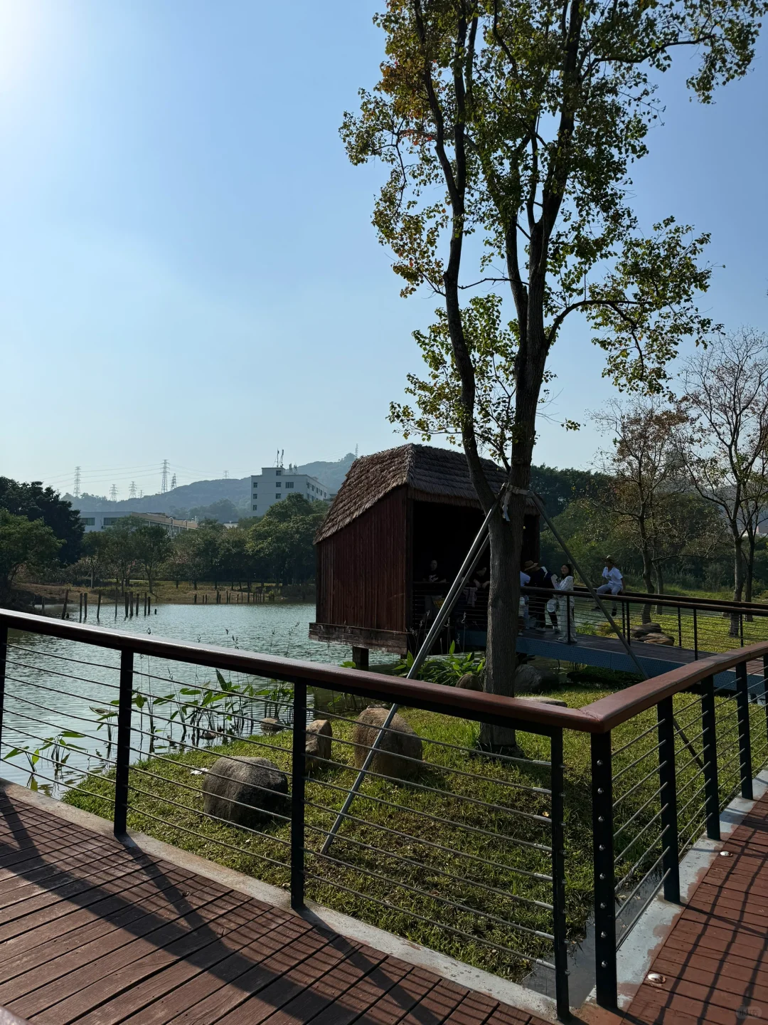 深圳的漂亮公园-1