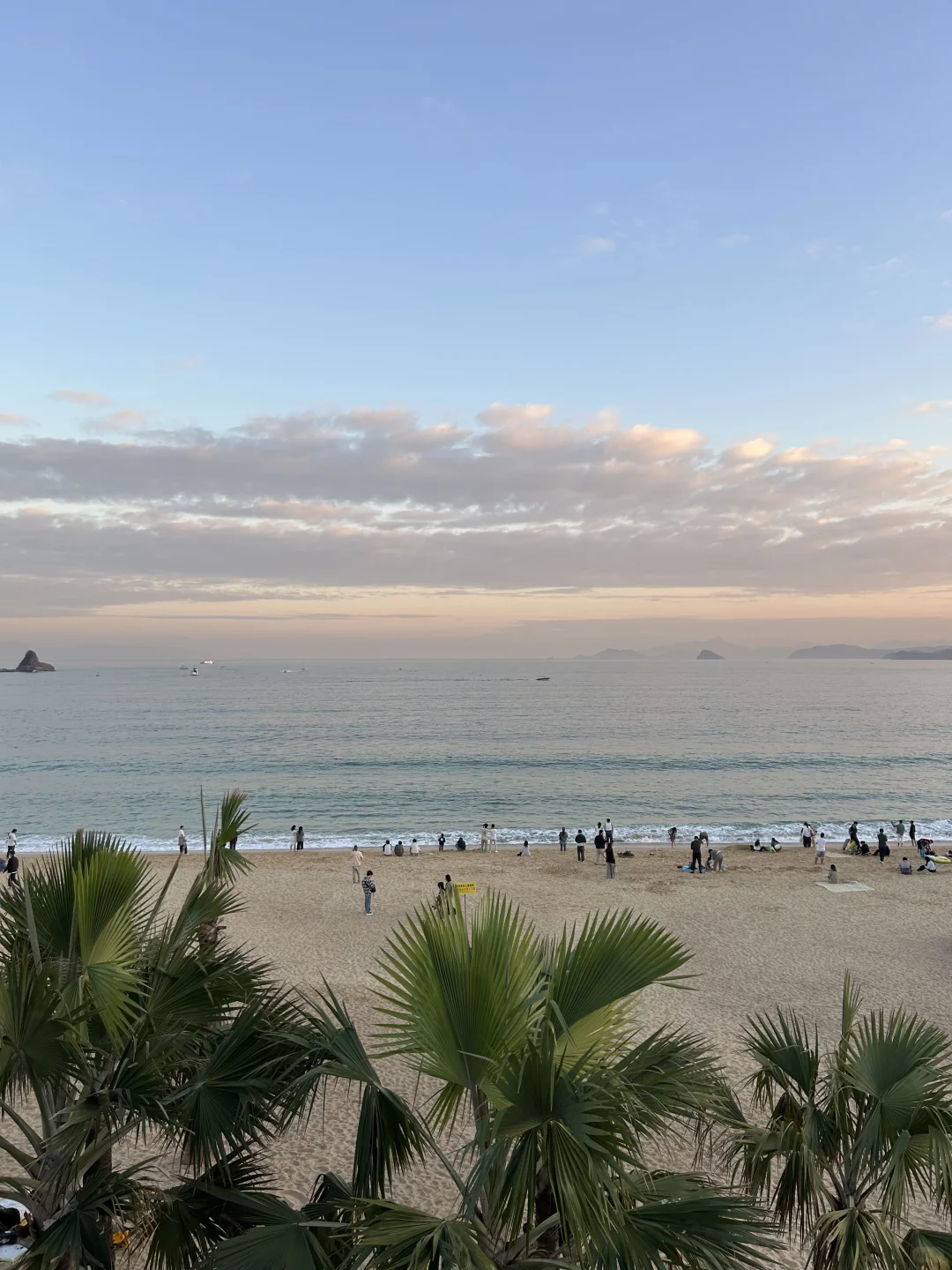 深圳 | 真好啊 有海的城市