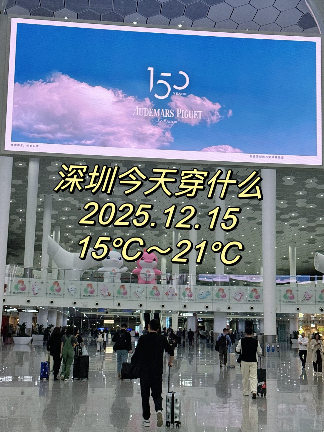 穿衣指南，深圳今天0 2025.12.15