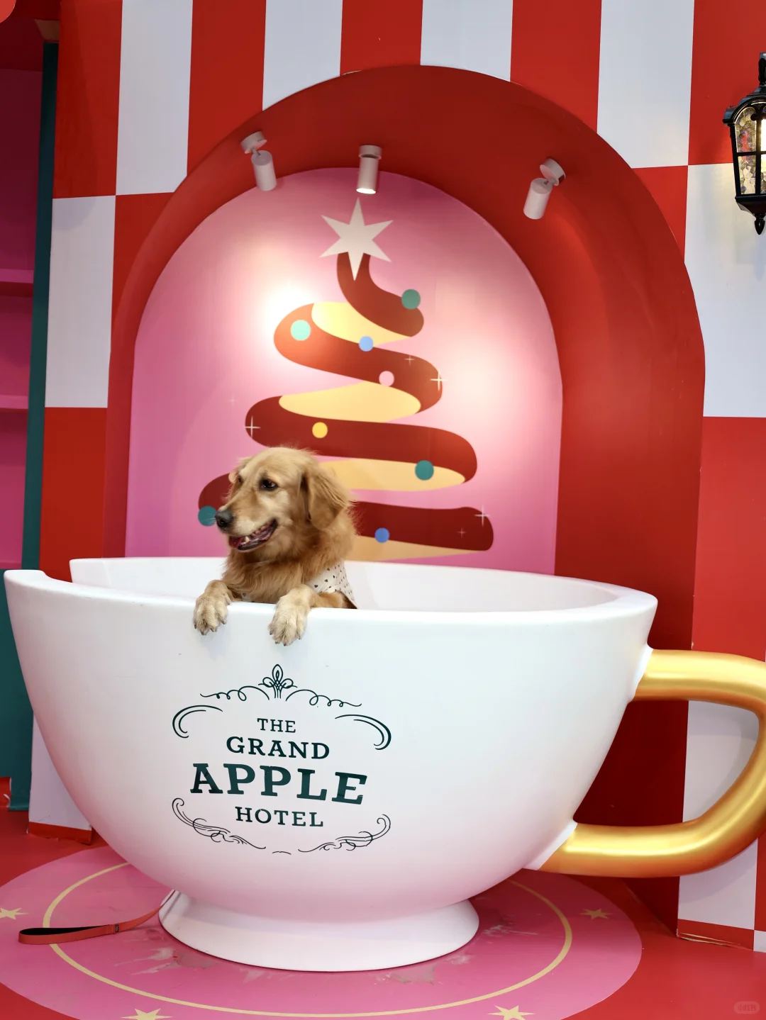 深圳欢乐谷圣诞封神！人均闯进北欧雪国童话