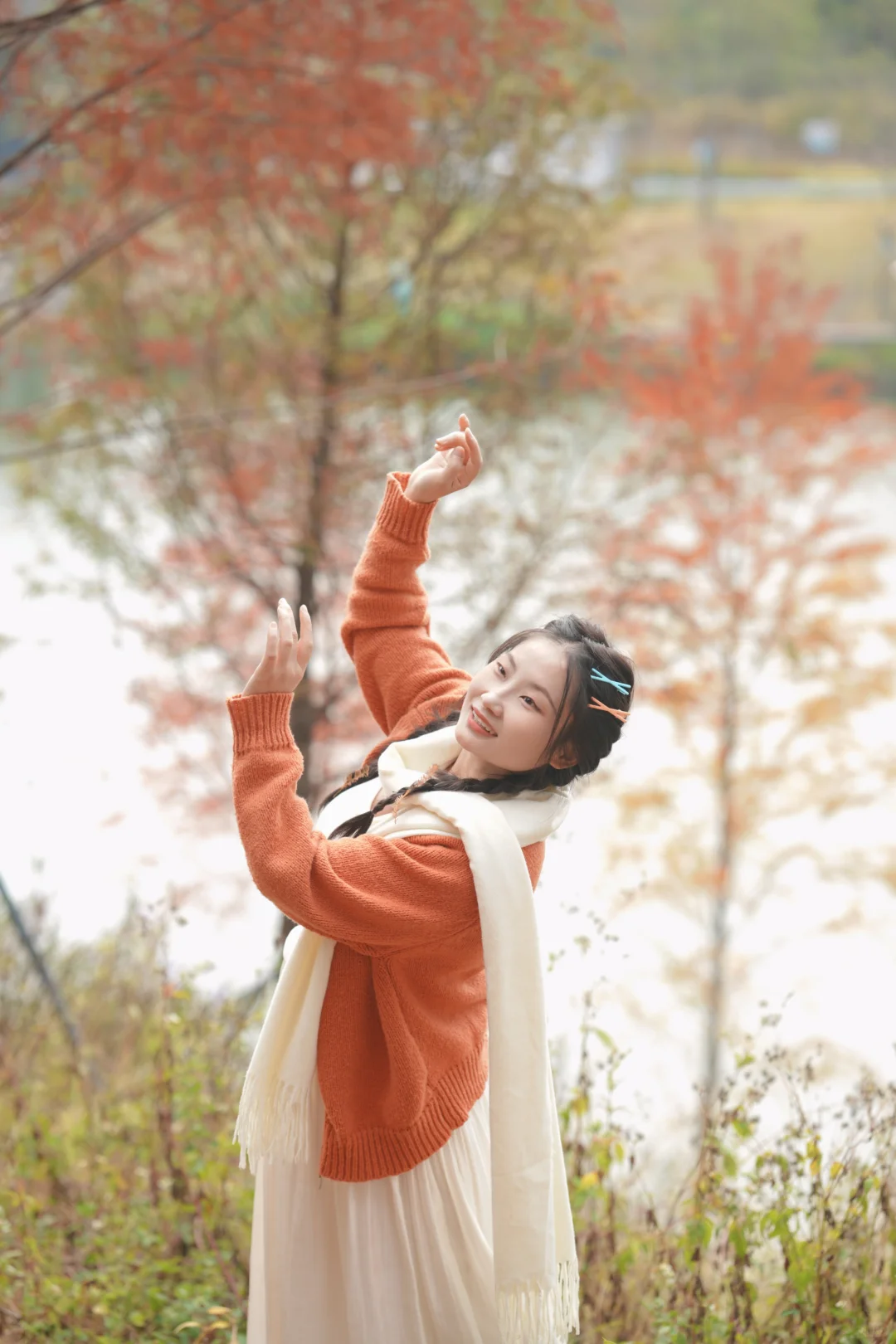 写意三河 落羽杉红了