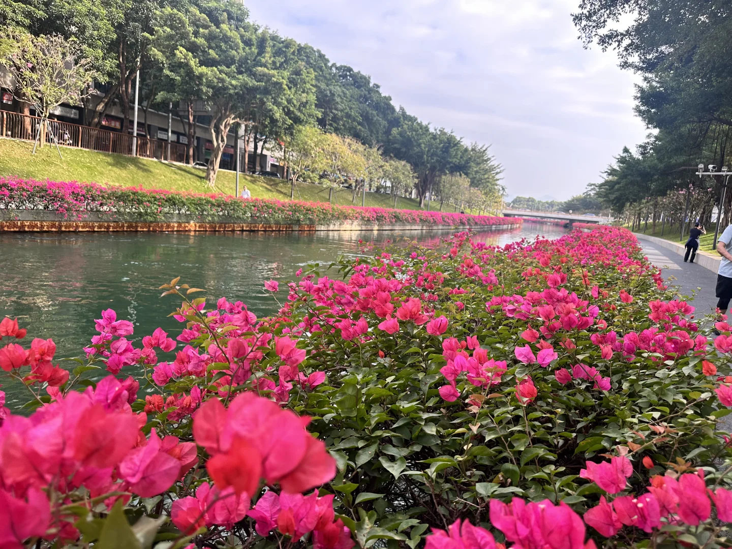 深圳穿衣指南12月8日