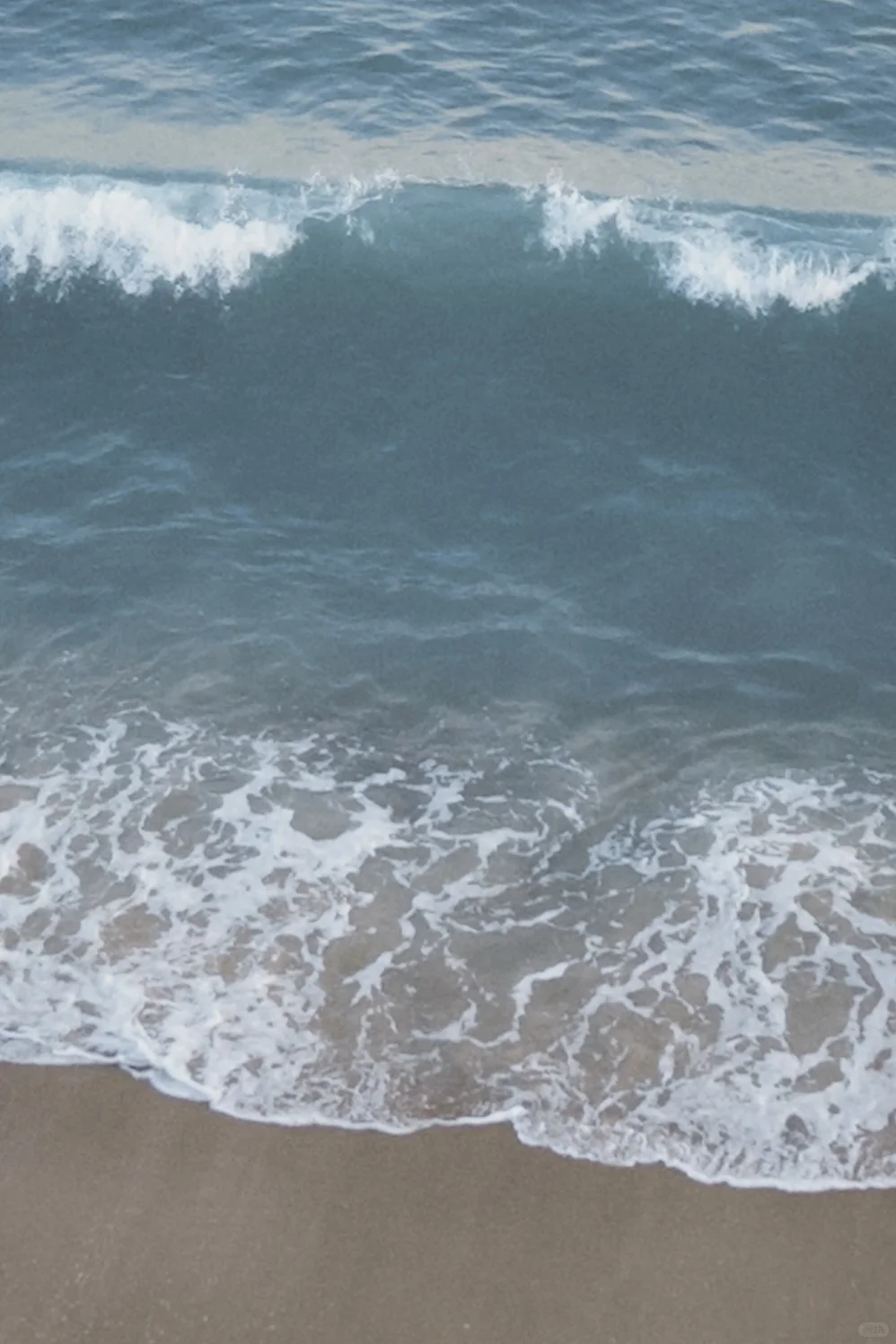 深圳 | 真好啊 有海的城市