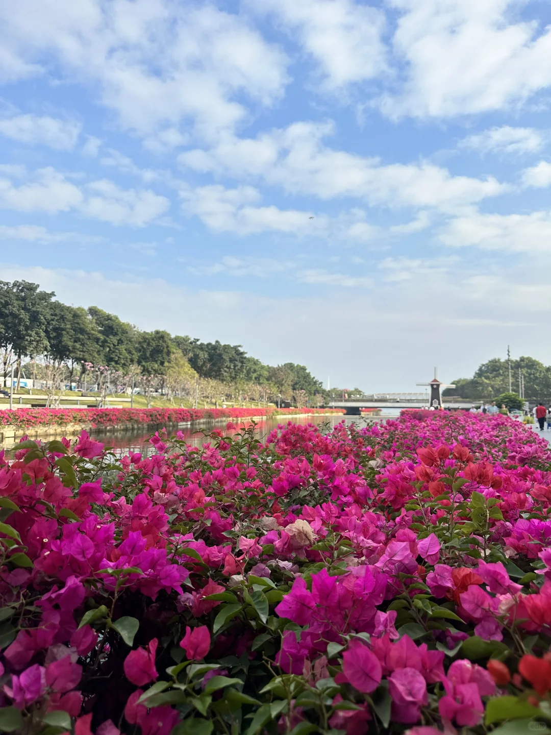 深圳穿衣指南12月8日
