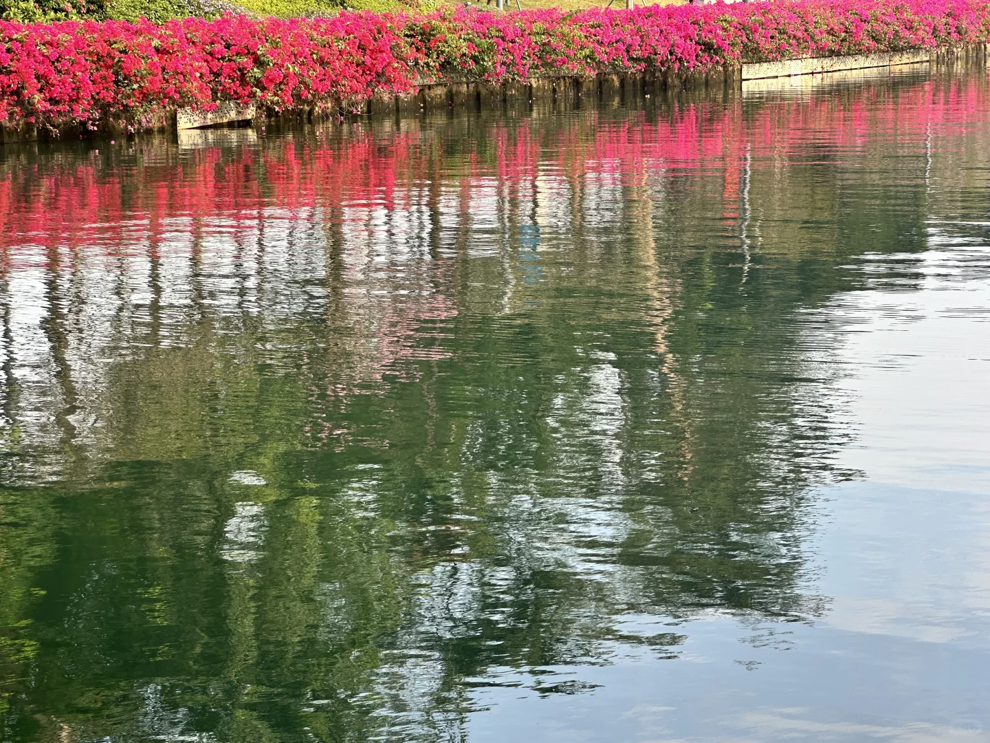 深圳穿衣指南12月8日