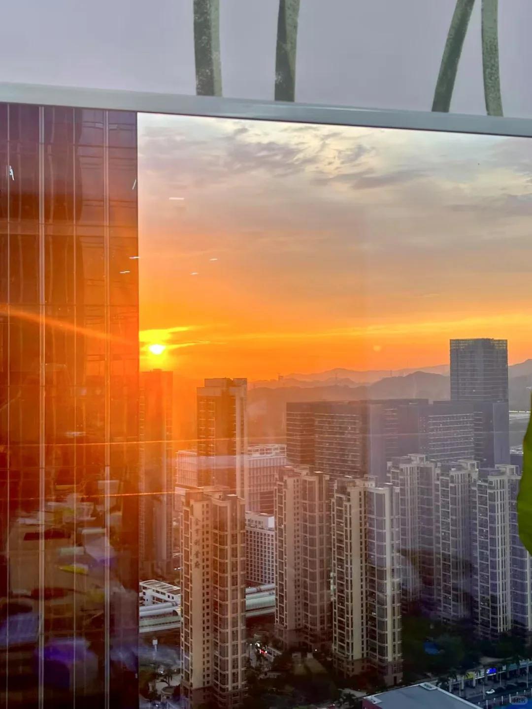 全深圳剪辑集合😍上班就能实现祛痘自由