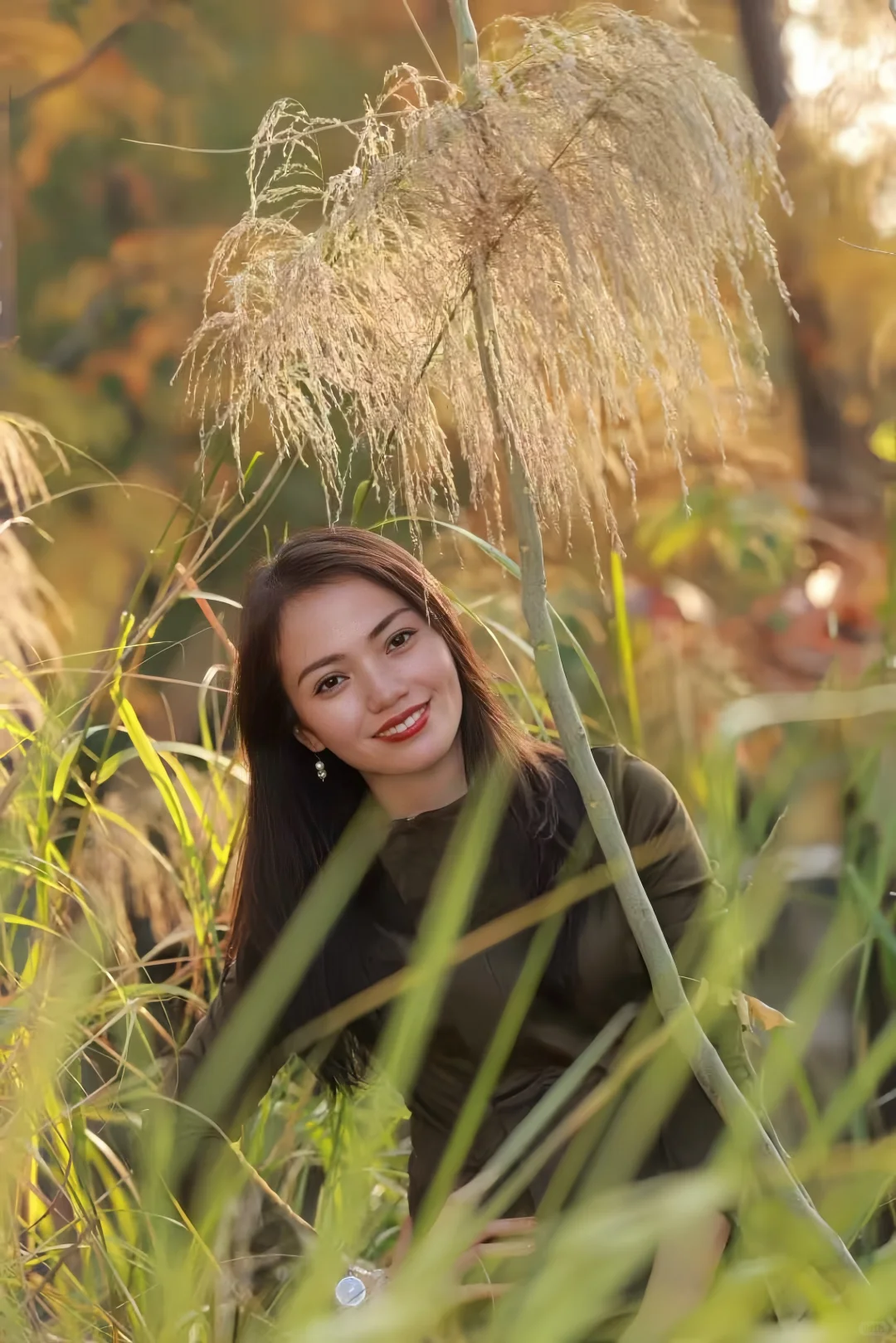 在深圳梧桐岛，拍了一群园宠