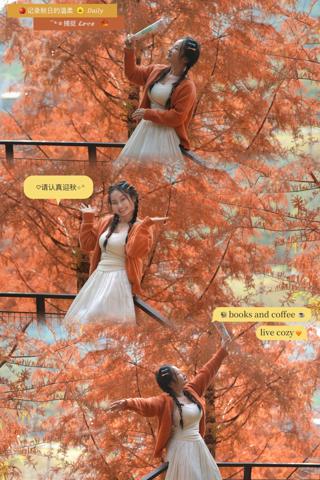 写意三河 落羽杉红了