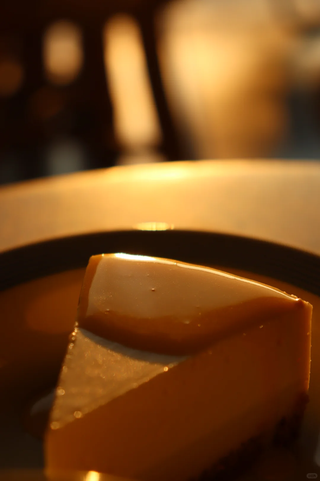 在深圳梧桐岛，拍了一群园宠