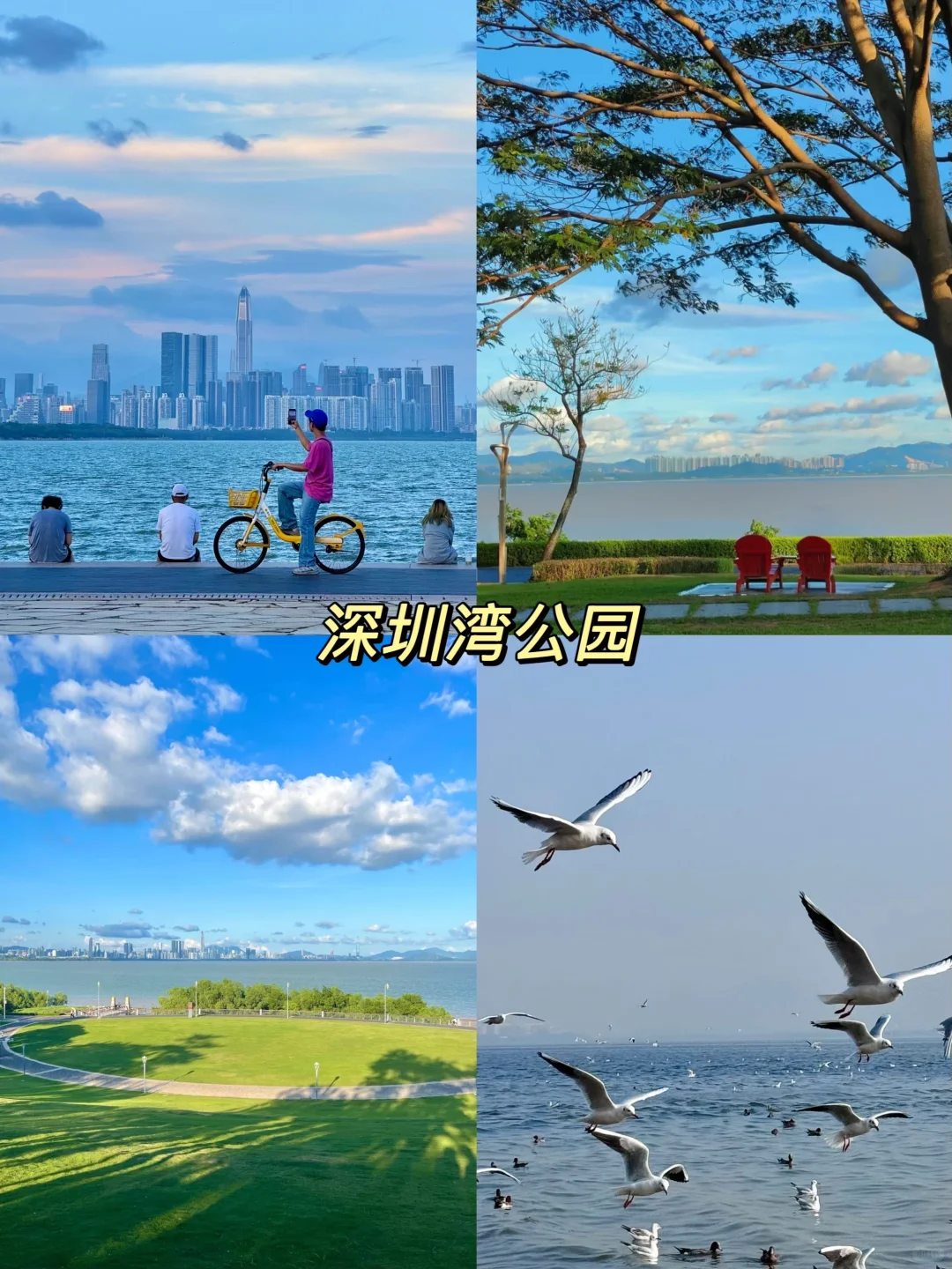 太美啦‼️来深圳一定要去这九大景点打卡