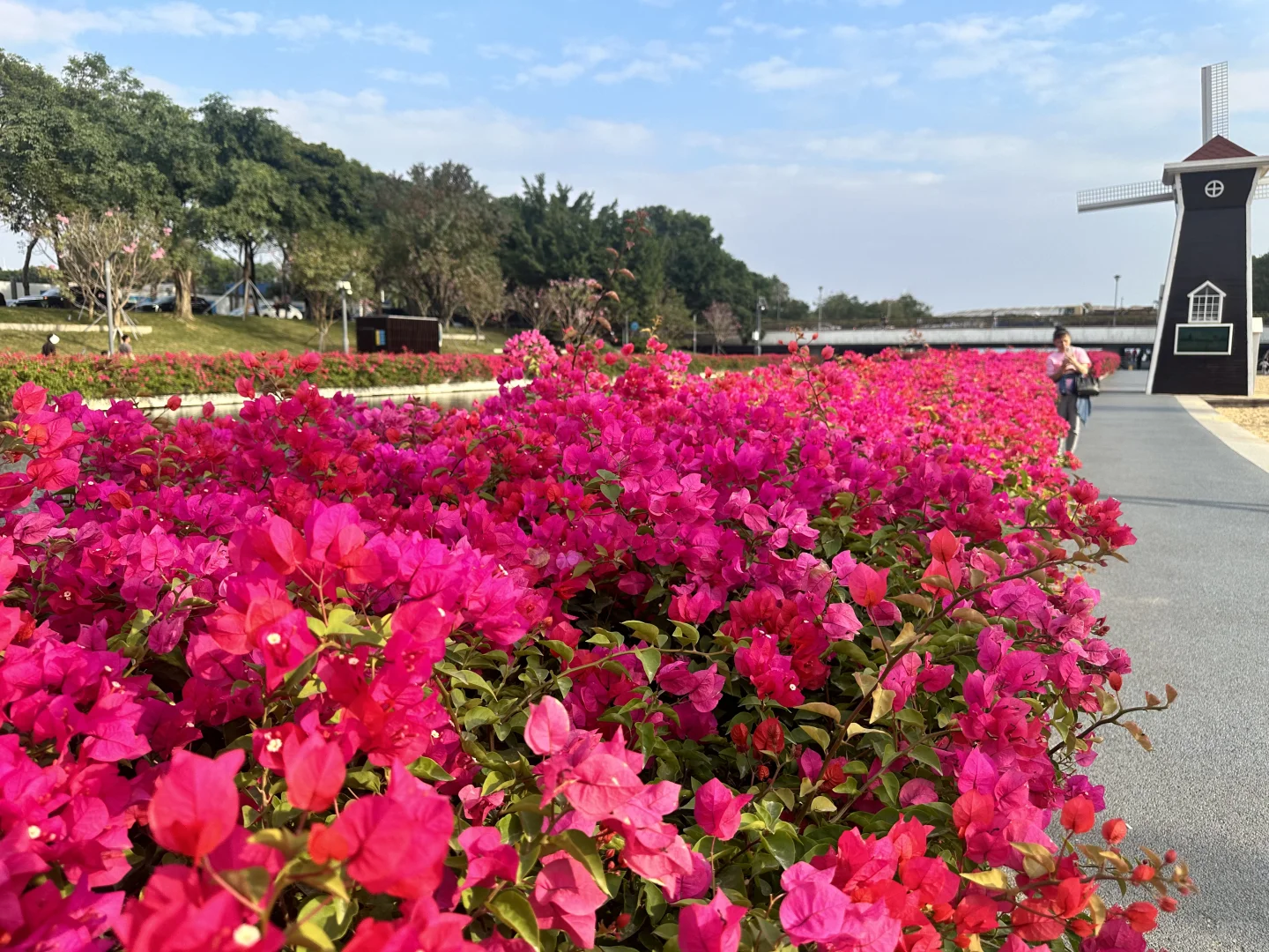 深圳穿衣指南12月8日